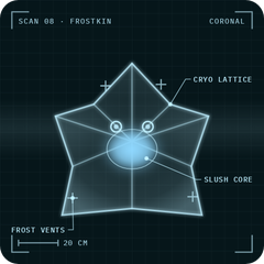 Frostkin: X-ray scan