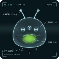Glorpian: X-ray scan