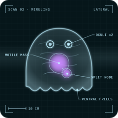 Mireling: X-ray scan